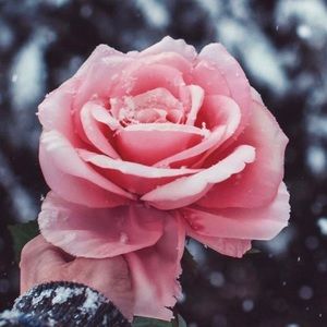 Meet your Posher, Mimi